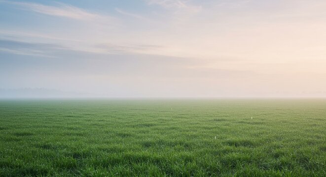 Peaceful panoramic landscape of a flat green field disappearing into the foggy dawn horizon with a gentle light