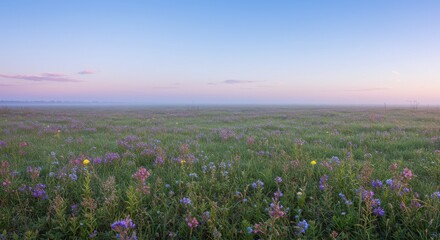 Obraz premium Colorful wildflowers blossoming in a dreamy prairie at sunrise