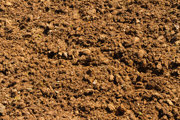 Fresh dug soil preparation for next planting season.