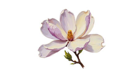 Obraz premium Magnolia flower illustration with light pink petals and green stem — impasto, isolated (from the 