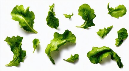 Fresh, vibrant green salad leaves scattered on a white background