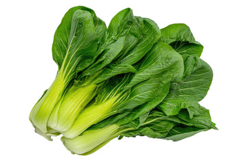 Fresh bok choy, vibrant green and yellow leaves