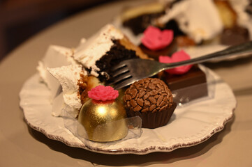 delicious desserts on a plate at a party, gourmet sweets and a slice of cake, variety of brazilian and chocolate desserts, elegant sweets and fine confectionery

