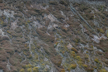 Rugged, rocky hillside landscape in an ancient Central European village Sparse vegetation, soft lighting, muted earth tones. a
