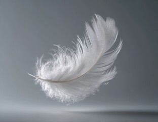 Obraz premium A single, delicate white feather floats in mid-air against a muted gray backdrop