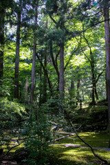 平泉寺白山神社