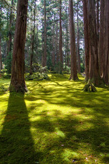 平泉寺白山神社