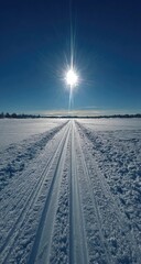 Sunny winter trail through snow-covered landscape