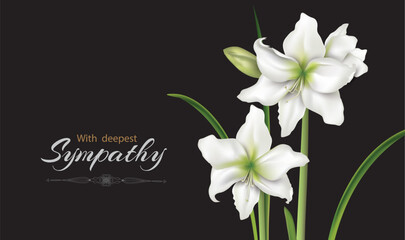 White flowers (hyppeastrum, lilies) mourning bouquet close-up in the black background. Vector conceptual illustration with the inscription With deepest sympathy and place for additional text..