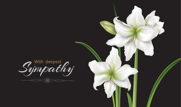 White flowers (hyppeastrum, lilies) mourning bouquet close-up in the black background. Vector conceptual illustration with the inscription With deepest sympathy and place for additional text..