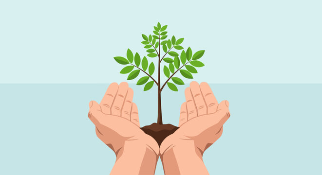 Two cupped hands gently hold a young green plant growing from soil, symbolizing care for nature and environmental growth. - Powered by Adobe