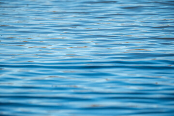 A calm and rippling water surface reflecting natural daylight. The soft blue tones and gentle waves create a peaceful and minimalistic aquatic scene, evoking a sense of serenity and stillness.