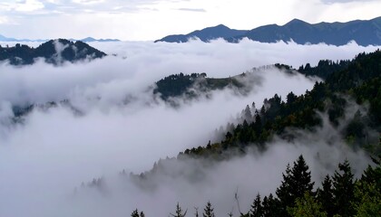 Misty mountain range with dense forests