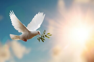 White dove is flying in the sky and carrying olive branch as symbol of peace, hope, love, faith, religion, spirituality, freedom