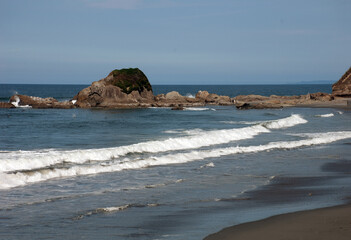 Kalaloch Trail #4 sea stacks