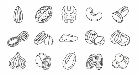 National date nut bread day september 8  outline drawing of assorted nuts and dried fruits for healthy snack food and vegan diet illustration 100 vector