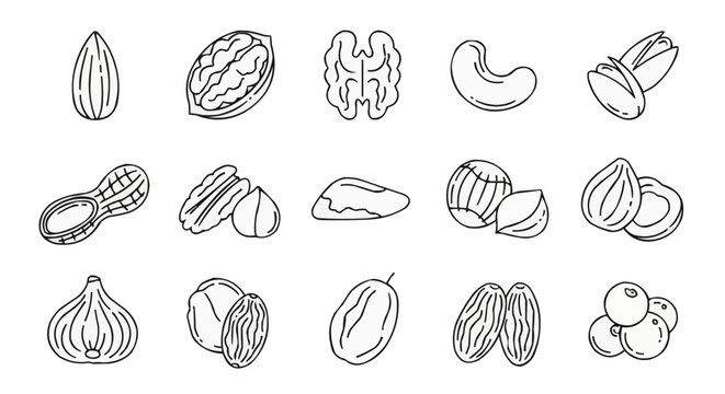 National date nut bread day september 8  outline drawing of assorted nuts and dried fruits for healthy snack food and vegan diet illustration 100 vector