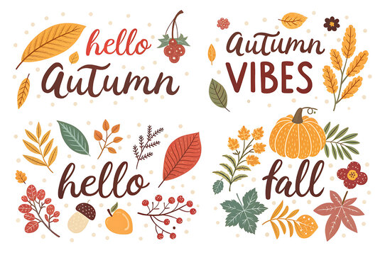 A collection of autumn themed drawings with leaves pumpkins and the words hello autumn and fall vibes