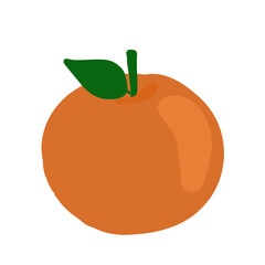 vector illustration of an orange