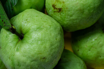 A still life of organic guava fruit, a healthy source of vitamins.
