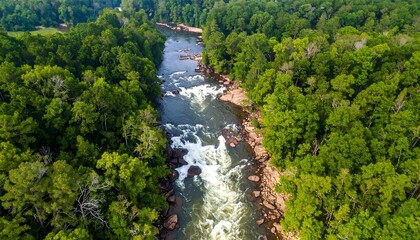 Aerial view of a river flowing through lush green forests