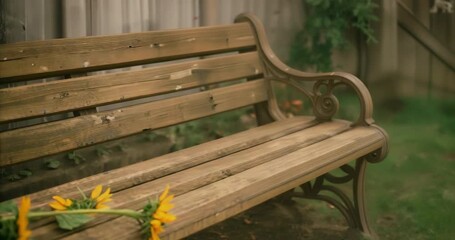 Sliding bouquet of sunflowers inching toward seat edge on bench by fence, gentle breeze, copy space - Powered by Adobe