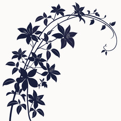 clematis evergreen leaves vector