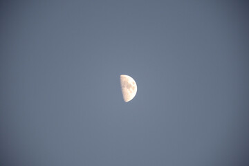 The Moon, visible in its half-lit (First or Last Quarter) phase, hangs alone in a pale blue/gray...