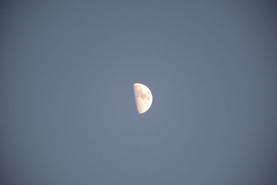 The Moon, visible in its half-lit (First or Last Quarter) phase, hangs alone in a pale blue/gray sky, likely captured during the day or twilight. A simple, clear image of a celestial body and astronom