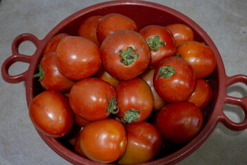  A red plastic basket full of fresh, ripe red tomatoes just harvested from the farm.