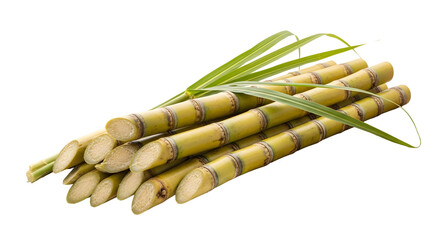 Bundle of fresh sugarcane stalks with green leaves isolated on transparent background