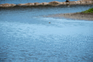 Calm, blue-toned water surface with slight ripples and a blurred, distant object in the center. Abstract nature background focusing on color, texture, and reflections. Peaceful and atmospheric.
