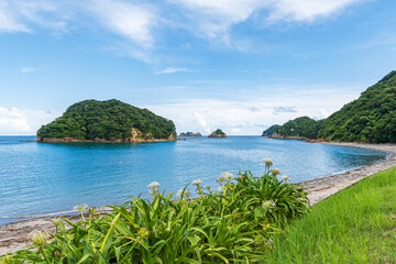 夏の青空と透明な海が広がる美しい南国ビーチ風景