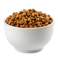 Dog food in bowl