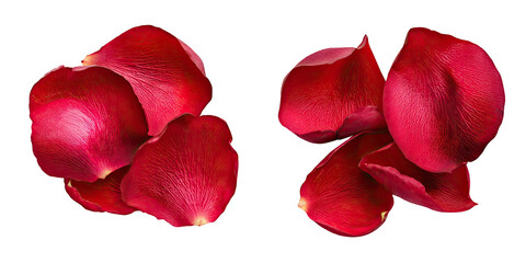 Close-up of two clusters of vibrant red rose petals against a black background