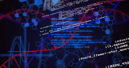 Twisting red purple DNA double helix crossing digital display, with hexagonal grid code waveforms
