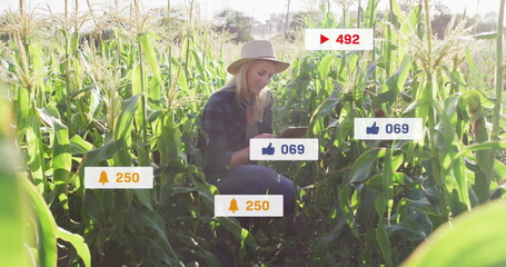 Holding tablet woman wearing straw hat scrolling through social media alerts in cornfield, overlays