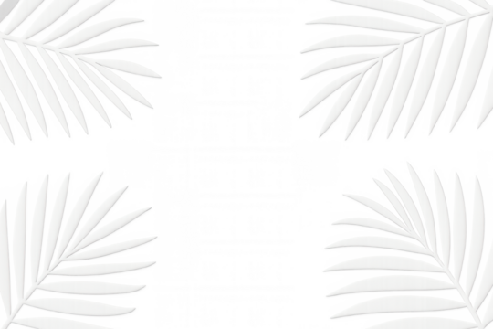 White palm leaves framing transparent background, providing elegant negative space for graphic design compositions
