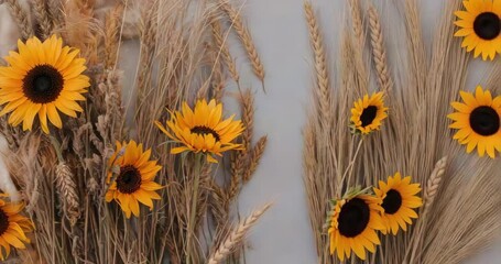 Panning camera revealing arrangement on beige fabric, showcasing sunflower blooms and dried wheat - Powered by Adobe