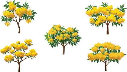 Yellow flowering tree illustration, vibrant blossom foliage, tropical botanical art, ornamental plant graphic, seasonal landscape design, isolated vector, decorative nature silhouette