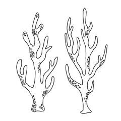 Fototapeta premium Stylized Illustrations of Coral Designs That Represent Various Aspects of Marine Life