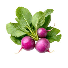 A fresh bunch of vibrant purple radishes with lush green leaves, isolated on a clean white background