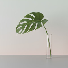Minimalist Still Life of a Monstera Leaf in a Glass Vase with a Soft Background
