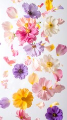 A vibrant display of colorful flowers and petals, suspended in mid-air against a soft white background.