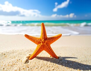 An eye-catching orange starfish sits on a sandy beach, framed by a vibrant blue ocean and a light-filled sky.