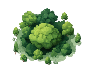 A stylized, top-down view of a lush forest