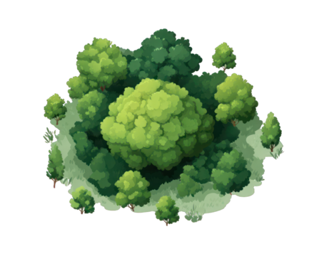 A stylized, top-down view of a lush forest
