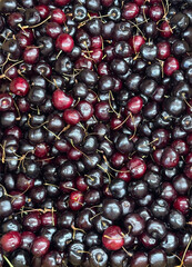 Fresh black cherries at a market stand