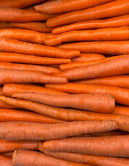Fresh carrots at a market stand