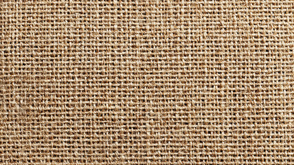 Natural Woven Thick Jute Texture Background in Soft Earth Tones on Transparent Background
